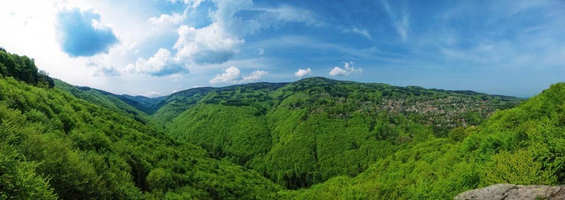 Eco Hotel Zdravetz Tsar Kaloyan  Экстерьер фото
